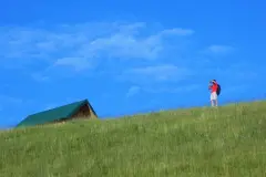 07